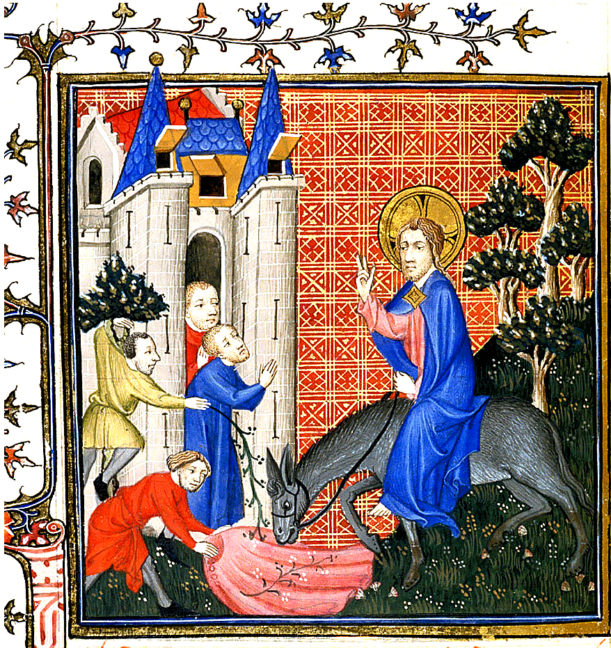 Omelia nella Domenica delle palme nella Passione del Signore «Benedetto colui che viene nel nome del Signore!»