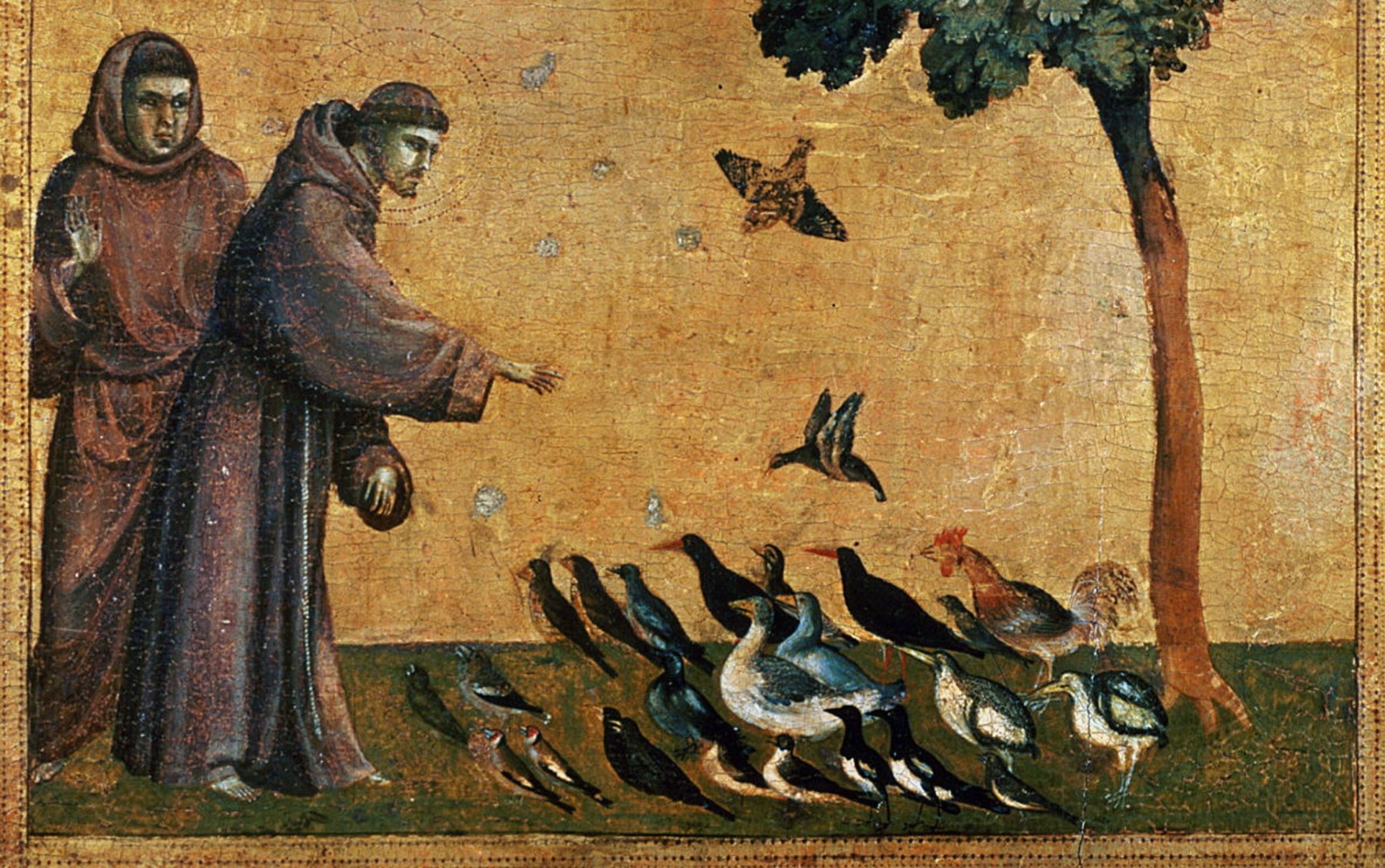 “Fratello mondo”. Riva rompe il silenzio su san Francesco